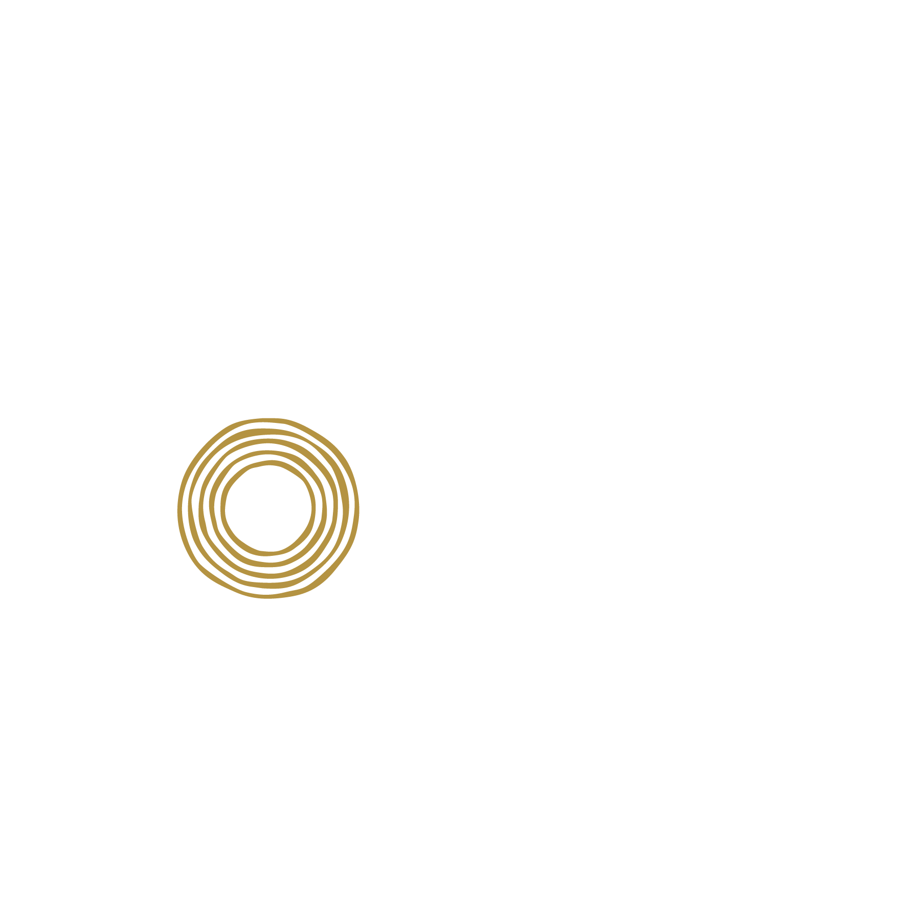 Enso Logo