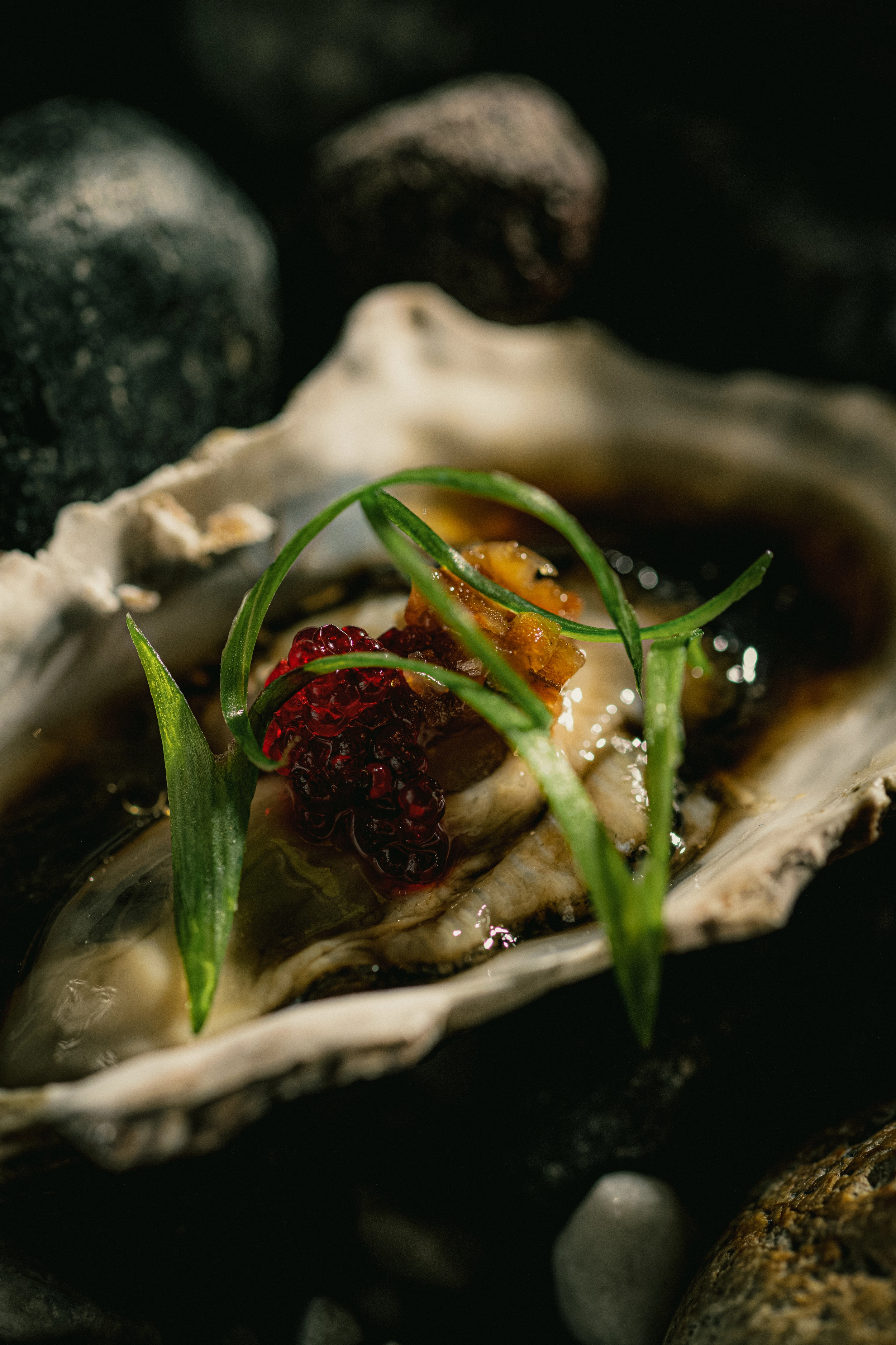 Scallops with XO sauce and tare, part of the exclusive Nikkei menu at a gourmet restaurant in Escazú, Costa Rica.